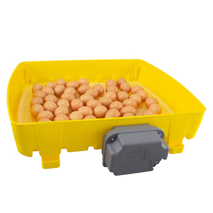 Incubadora de huevos digital ET49 con unidad de tornauova OVOMATIC y aditivo Biomaster™ - River Systems - capacidad 49 huevos de tamaño mediano/grande o 196 pequeños