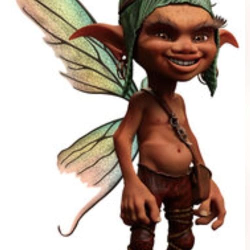 I Saw A Fairy In The Backyard