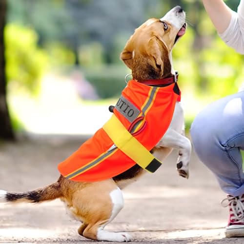 Disfraz para perro pequeño tamaño L resistente y cómodo miniatura 5