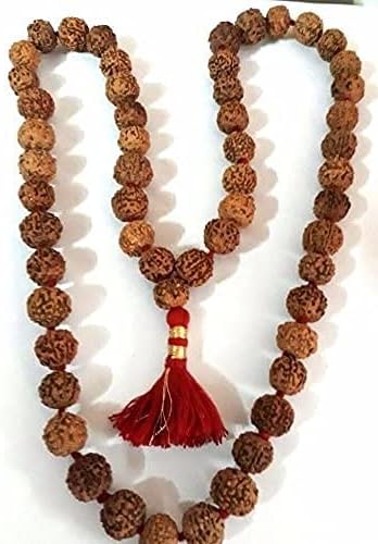 Rudraksha Rosary / 7 Mukhi Seven Faced / 54 Beads Mala Mahalaxmi