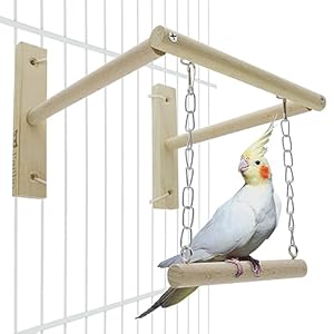 Natural Wood Bird Swing, Sturdy Parrot Perch Stand Cage Toy – Trims Nails and Beak – Safe for Cockatiel, Caique, Budgerigar, Conure, Lovebirds, Senegal, Other Small Birds – Size S