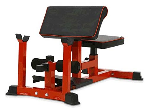 Pull up Fitness Sissy Squat Machine - Exercice Fessier, Jambes, Cuisses, Abdos, Bras (Rouge et Noir)