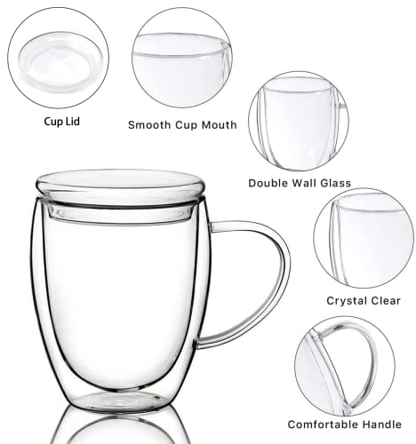 Allyce 15 Oz Double Walled Coffee Cups Glass Coffee Mugs Clear Coffee Mug With Lid Insulated Coffee Mug Perfect For Cappuccino,Tea,Milk,Espresso,Juice, Hot Beverage With Handle (15Oz, With Glass Lid) #TOP2