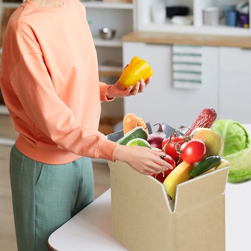 Image of 10 Pcs Insulated Shipping Box 8.7 x 4.7 x 6 Inch