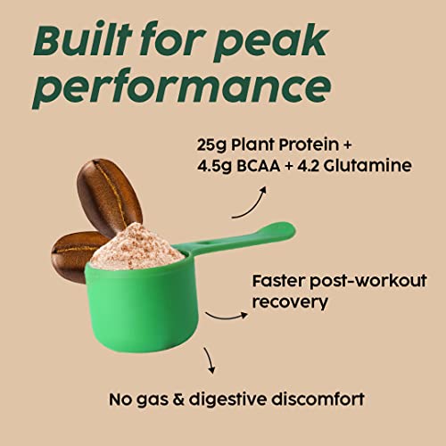 The Plant Fix Plix Strength Vegan Plant Protein Powder - 1 KG (Cafe Mocha) Pea Protein Isolate and Brown Rice Blend, 25 g Plant Protein, No Added Sugar, Gluten free