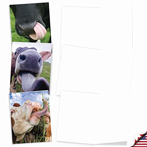 The Best Card Company - 10 Adorable Note Cards Blank (4 X 5.12 Inch) - Wildlife And Animal Cards, Assorted Boxed Kids Set - Cowlicks M4604Ocb-B1X10 #TOP2
