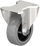 Edelstahl Heavy Duty feststehende Rollen mit Abdeckplatten Fitting