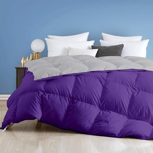 Image of Day Care - 400 GSM Hotel Quality-Down Alternative Reversible Comforter (92 inch x 106 inch Inches /228cm x 228cm) - Comforter King Size|Purple /Silver