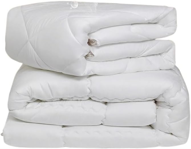 Core Home Textile Quilt 2-in-1 Quilt Full Quilt Core Spring and Autumn by Four Seasons Universal Winter Quilt