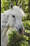 fast trotting horse breed  Orlov Trotter Horse Notebook For Horse Lovers: Composition Notebook 6x9\