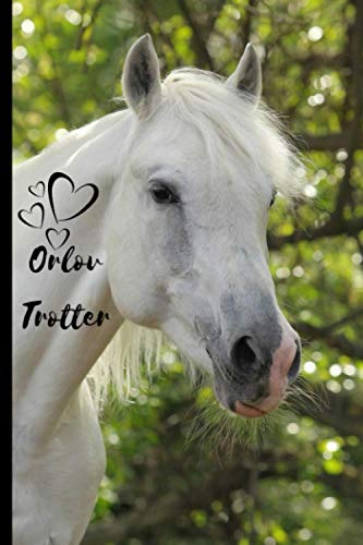 Orlov Trotter Horse Notebook For Horse Lovers: Composition Notebook 6x9" Blank Lined Journal
