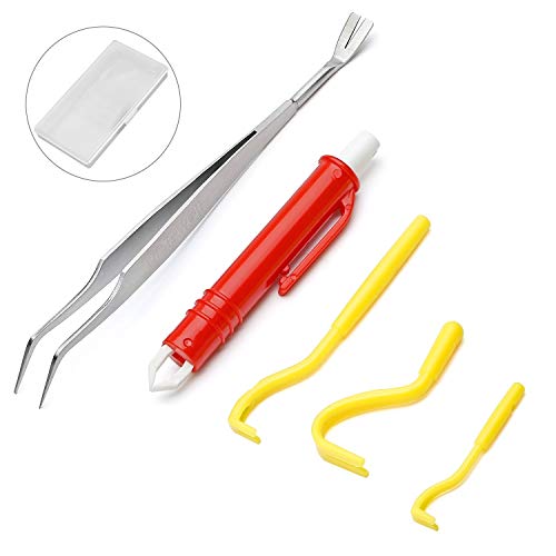 Qisiewell Lot de 5 pinces à tiques en acier inoxydable et plastique boîte de rangement) Cover