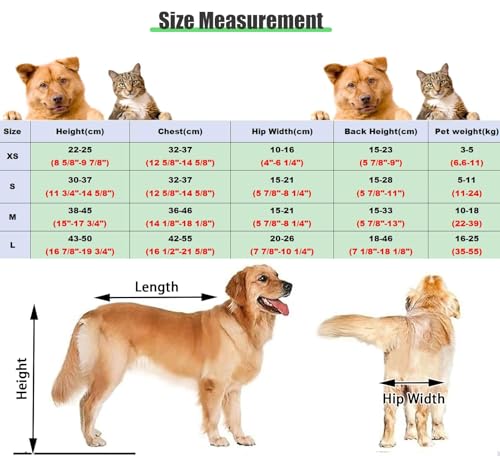 Silla de ruedas para mascotas en paseos al aire libre con estructura metálica ajustable 8