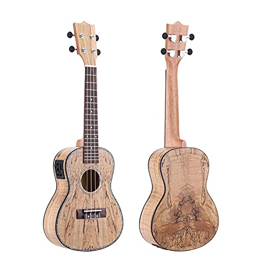 ENLbg ENS JEVFu4iC񍂕i24'EN~jAR[XeBbNM^[