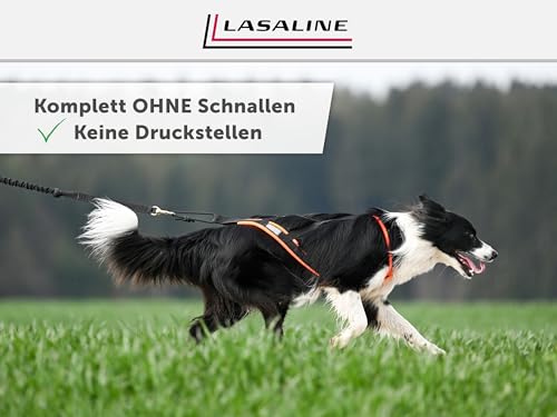 LASALINE Hunde Zuggeschirr X Back für Canicross Hundesport Dogscooter Bikejöring Schlitten in Schwarz Neonorange