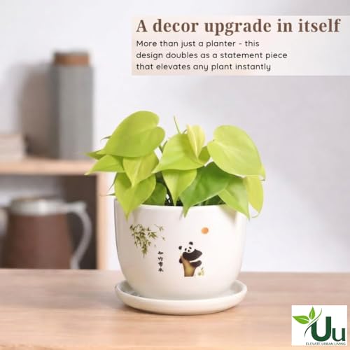 Image of Urban Upvan Panda Design Printed Ceramic Pot with Tray - Premium Decorative Planter for Indoor & Outdoor Plants, Modern Elegant Flower Pot for Home, Garden & Office