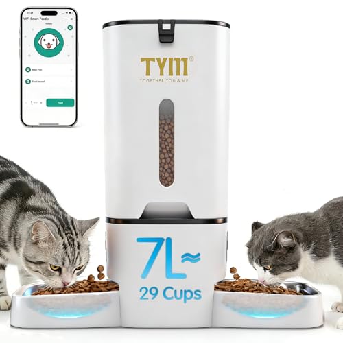 Automatic cat feeder for two cats