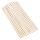 Pfeifenreiniger Beige 100 Stück, Pfeifenreiniger zum Basteln 30 cm x 6 mm, Pfeiffenputzerdraht Chenilledraht, Pfeifenputzer Biegeplüsch Basteldraht für DIY Art Craft Projekte, Dekoration