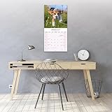 Avonside Beagle 2027 Kalendarz z Naklejkami Organizacyjnymi, 16-Miesięczny Kwadratowy Kalendarz Ścienny (wrz 2026 - gru 2027), Planer dla Miłośników Psów, 29,5 x 29,5 cm