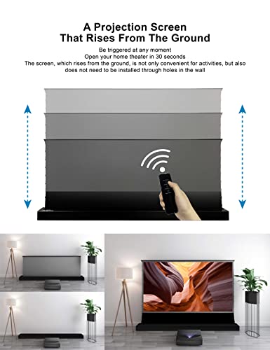 Projector Screen and Stand 120 Inch