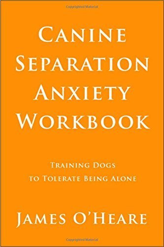 What is separation anxiety in dogs