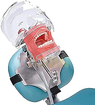 Dental Simulator, Mannequin Phantom Head, Plastic, Educational Dental Model, Includes Bench Mount, Educational Fixation Dental Chair Type
