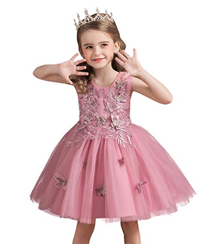 Flower Girls Embroidery Tulle Dress Butterflies Princess Wedding Birthday Party Communion Pageant Dance Ball Gown