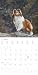 Alpha Edition - Hunde Kalender 2026 – Wandkalender 30x30 cm für Hundeliebhaber – 6-sprachiges Kalendarium mit Feiertagen & Ferienterminen, Monatsübersichten & viel Platz für Notizen, Ringbindung: Dogs
