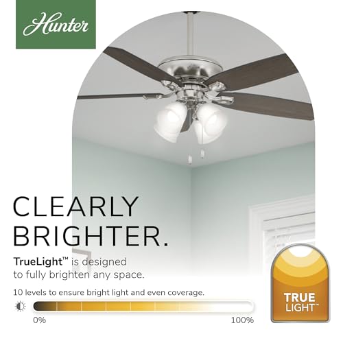 Image of Hunter Amberlin, Indoor, Ceiling Fan, Pull Chain, 52 inch, Brushed Nickel