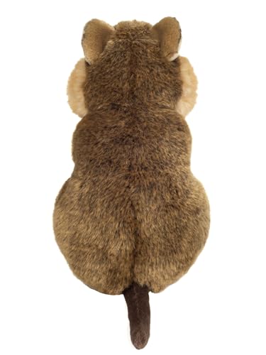 Teddy Hermann 92325 Quokka 24 cm, Sonderedition Teddy Hermann erklärt, Kuscheltier mit idealem Recyclinganteil (Füllmaterial)