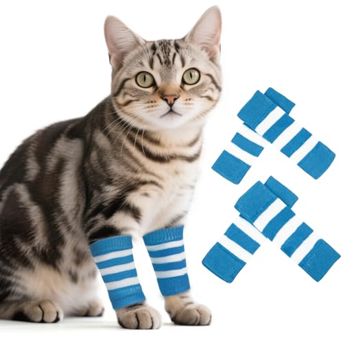 ROZKITCH ybg  G{ veN^[  G{[X[u 2 Or 2 rG 2 G{ bv bOEH[}[ bv veN^[ ybg Lk jbg ʋC ی u[XgCv S