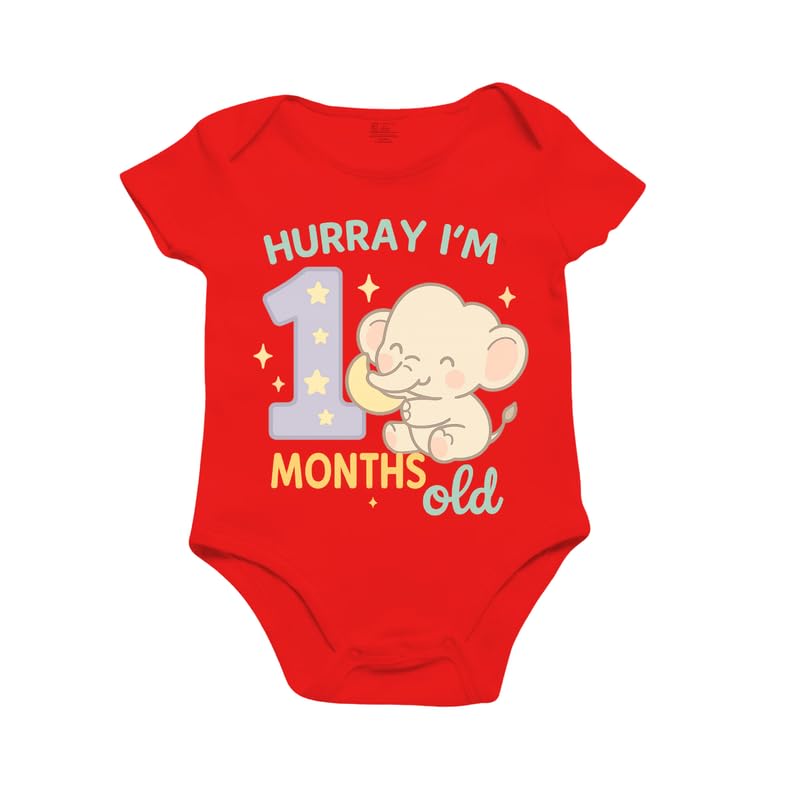 Image of Monthly Birthday Romper for Newborn Baby | Unisex Half Sleeve Bodysuit with Envelope Neck | Soft Cotton Outfit with 1 to 12 Month Print | Comfortable Infant Wear for Boys & Girls