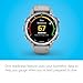 Garmin Descent Mk3 Watch Style-Dive Computer, 43mm, Steel with Fog Gray Band