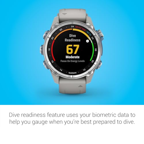 Image of Garmin Descent MK3 43mm Dive Computer Smartwatch (Stainless Steel) | 43mm Dive Computer and Multisport Smartwatch, Amoled, 200m Dive-Rated, Stainless Steel Bezel, Fog Gray Silicone Band