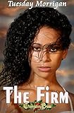 firmes transnationales exemple  The Firm (The Firm 6): BDSM Paranormal Dark Romance (English Edition)