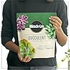 Miracle-Gro Succulent Potting Mix, For Indoor Succulents, Aloe Vera and More, Made with Miracle-Gro Plant Food, 4 qt #2