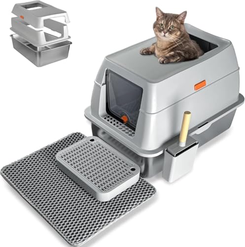 yjieseabanz}bgt XeXX`[ LpgC t[ht nCTCh LgC XN[vtE26