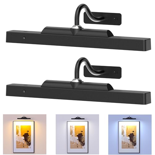 Picture Light, 4400mAh Black Rechargeable Battery Operated Wireless Art Light, Cordless Dimmable Remote Magnetic Lighting for Wall Art Frame Gallery(12 in, Black)