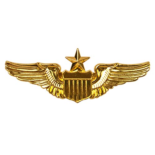 Top 10 Best Airline Pilot Wings Pin Reviews & Buying Guide Katynel