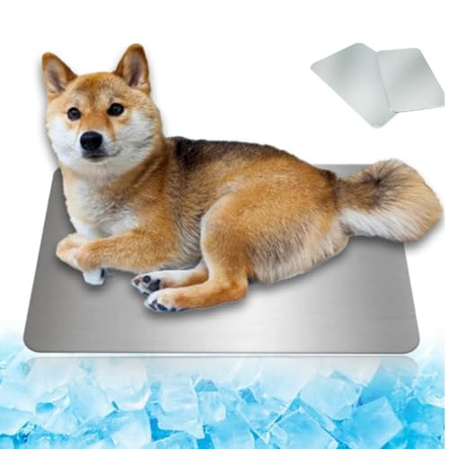 Zifizo pЂv[g ⊴v[gybgp Lp N[V[h A~ {[h N[}bg  p ⊴  ₦ x ΍ ăObY MǑ΍ ₽ păObY ΍ (30*50cm)