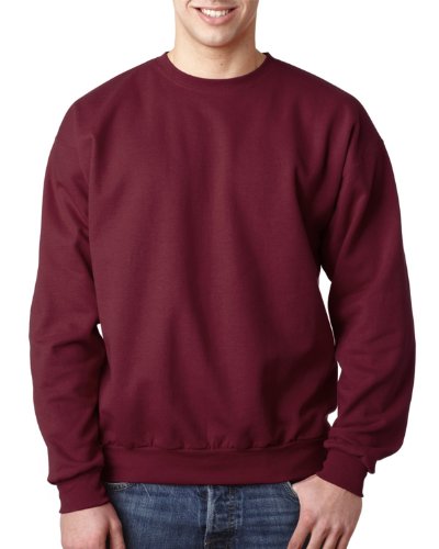 Hanes Men's EcoSmart Sweatshirt2
