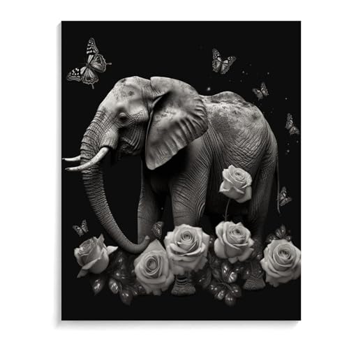 Kit de pintura por números de elefante para regalar a adultos principiantes
