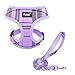 PUPTECK Soft Mesh Dog Harness Pet Puppy Comfort Padded Vest No Pull Harnesses, Purple Small