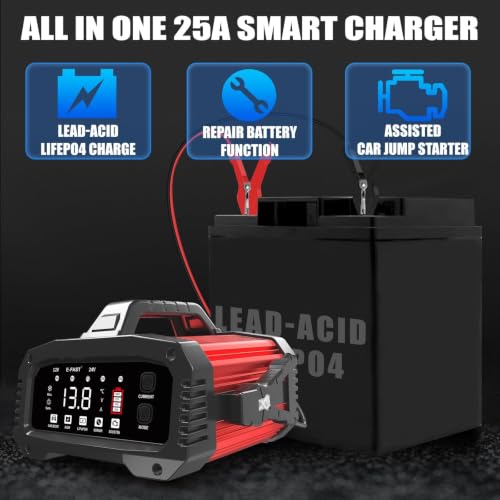 E-FAST 25A Smart Charger