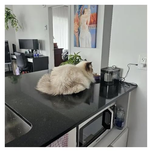 Fuente de Agua Automática para Gatos USB 1.5L Roja miniatura 7