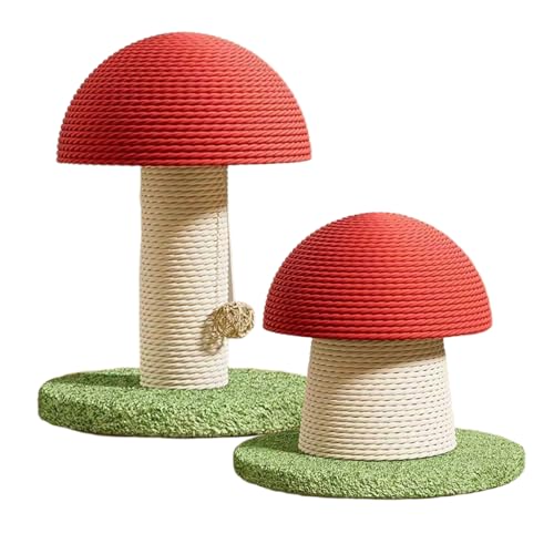 Arbre à chat en forme de champignon mignon pour jeune chaton