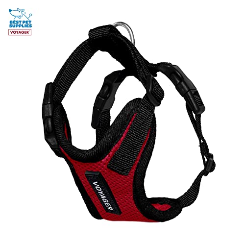 Image of Best Pet Supplies Voyager Step-in Lock Pet Harness w Reflective Pet Leash Combo Set with Neoprene Handle 5ft - Supports Small, Medium and Large Breed Puppies /Cats - Red /Black Trim Set, XXS