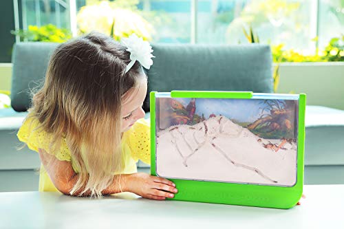 Uncle Milton Giant Ant Farm - Large Viewing Area - Care for Live Ants - Nature Learning Toy - Science DIY Toy Kit… - Image 6