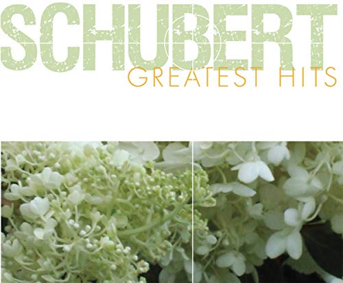 Play Schubert Greatest Hits by VARIOUS ARTISTS on Amazon Music
