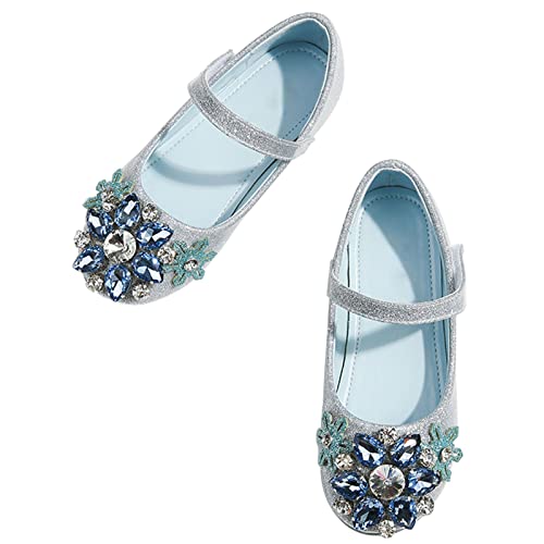 WENJIAZHIZHI Toddler/Kids Girls Mary Jane Ballerina Flats Flowers Princess Dress Ballet Shoes for Girls Party School Shoes